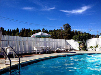 Motel Holiday